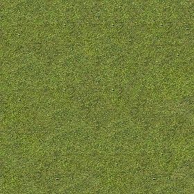 Textures Texture seamless | Green grass texture seamless 12972 | Textures - NATURE ELEMENTS - VEGETATION - Green grass | Sketchuptexture Green Grass Texture Seamless, Grass Texture Seamless Photoshop, Grass Texture Photoshop Architecture, Grass Texture Architecture, Green Texture Architecture, Grass Texture Photoshop, Gross Texture, Green Texture Seamless, Grass Texture Seamless