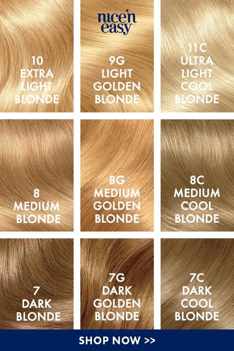 Clairol Nice'n Easy Permanent Hair Color | Permanent hair color, Blonde hair inspiration, Dyed blonde hair Brass Blonde Hair, Champagne Hair Color, Shades Of Blonde Hair, Silvery Blonde, Blonde Hair Color Chart, Golden Hair Color, Clairol Hair Color, Shucking Corn, Clairol Hair