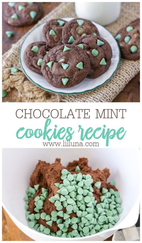 Chocolate Mint Cookies are soft, chewy, rich and chocolatey. Studded with mint chips, they are a tasty treat!! #chocolatemintcookies #chocolatecookies #mintdesserts #cookies #dessert Mint Chip Cookies, Andes Mint Cookies, Mint Desserts, Mint Chocolate Chip Cookies, Chocolate Mint Cookies, Mint Brownies, Cookie Recipes Homemade, Mint Recipes, Cocoa Cookies