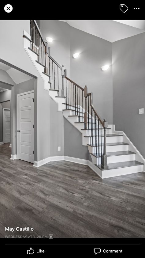 Grey Walls Staircase, Grey Hardwood Floors Wall Color, Staircase With Grey Floor, White And Gray Staircase, Colors For Houses Interior, Grey Floor Design Interiors, Gray Floor And Wall Color Combinations, Floors For Grey Walls, Gray Stairs Painted