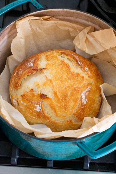 I've tried this No-knead bread recipe with yeast and Sourdough Starter and have noticed a huge difference between the two. Baking with sourdough makes for a much more moist crumb and it stays moist! The outside crust is also much chewier and overall way better in texture. Rustic Loaf, Dutch Oven Bread, Knead Bread Recipe, A Loaf Of Bread, Bread Sticks, Artisan Bread Recipes, Knead Bread, Rustic Bread, Dutch Oven Recipes