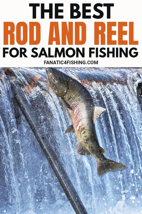 Salmon Fishing Rig, Surf Fishing Rods, Fishing Salmon, Fly Fishing For Beginners, Fly Fishing Flies Pattern, Sockeye Salmon, Fly Fishing Tips, Fly Fishing Gear, Fishing Rods And Reels