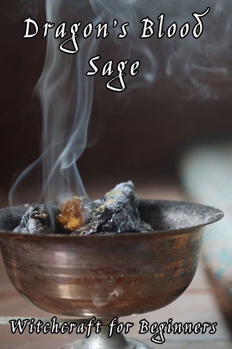 dragons blood sage incense for witchcraft Dragonsblood Sage, Witchy Incense, Herb Meanings, Witchcraft Practice, Cleansing Herbs, Incense Blends, Sage Benefits, Dragons Blood Incense, Loose Incense