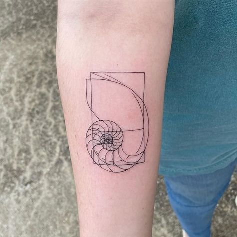 Raul Najera Tattoo | Fibonacci sequence in a nautilus shell | Instagram Nautilus Shell Tattoo, Nautilus Tattoo, Fibonacci Tattoo, Shell Tattoo, Fibonacci Sequence, Nautilus Shell, Nautilus, Pencil, Tattoos