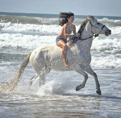 Woman Riding Horse, Horse Photography Poses, Bareback Riding, Trick Riding, Beautiful Horses Photography, Beach Rides, Most Beautiful Horses, Water Cycle, Horses And Dogs