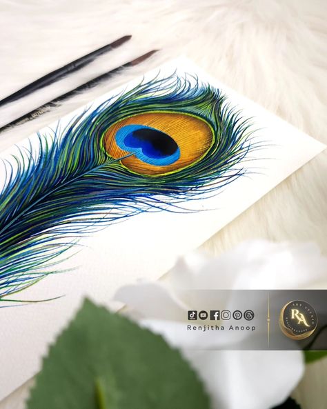 Peacock 🦚 Feather _ Gouache Painting . . . #gouachepainting #illustration #gouache #art #artstudio #astheticvideos #instafeed #instagood #Painting #featherpainting #renjithaanoop Peacock Feather Painting, Gouache Art, Feather Painting, Peacock Feather, Black Paper, Gouache Painting, Painting Tutorial, Cardstock Paper, Beautiful Paintings