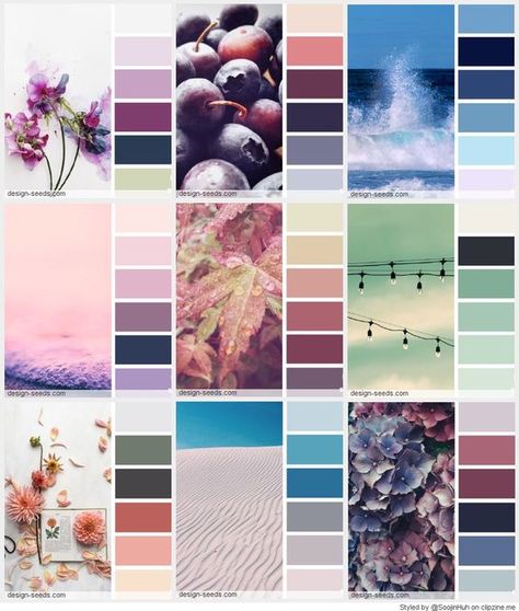 Coordinating Paint Colors, Coral Colour Palette, Color Inspiration Boards, Color Cube, Palettes Color, Color Catalog, Palette Design, Color Board, Color Schemes Colour Palettes