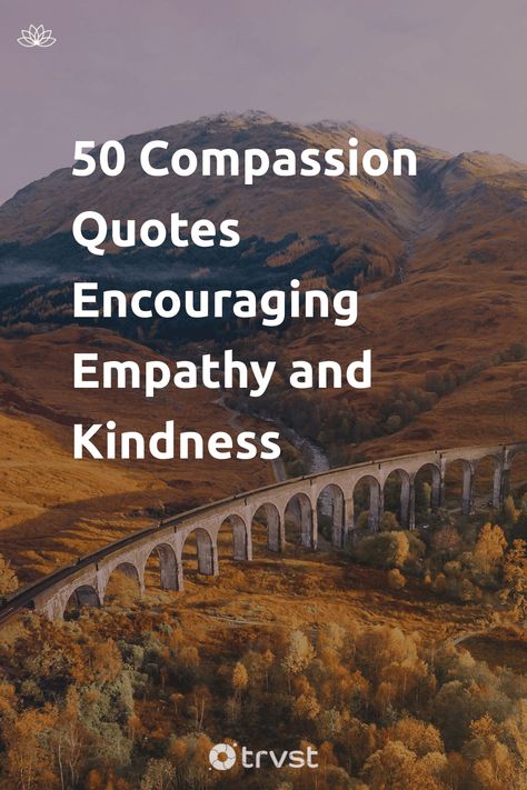 Understand Others Quotes, Words Of Compassion, Quotes About Compassion And Empathy, Accepting Others Quotes, Quotes On Kindness And Compassion, Quotes On Compassion For Others, Kindness And Compassion Quotes, Helping Others Quotes Acts Of Kindness, Kind Words Quotes