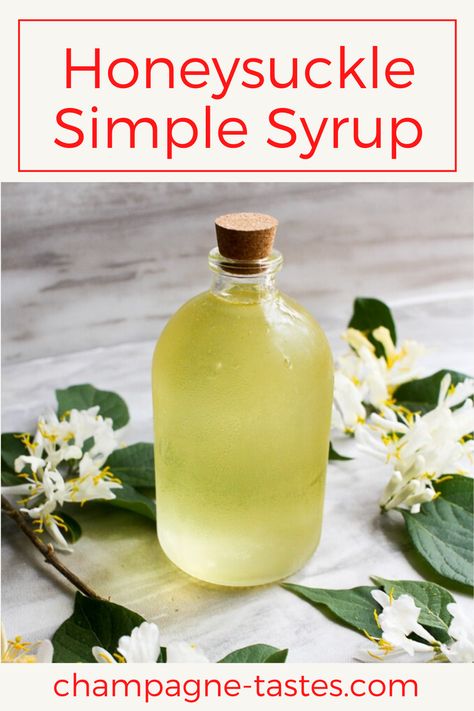 This recipe for Honeysuckle Simple Syrup uses foraged wild honeysuckle in a sweet simple syrup that is perfect for cocktails, iced tea, lemonade, and more!