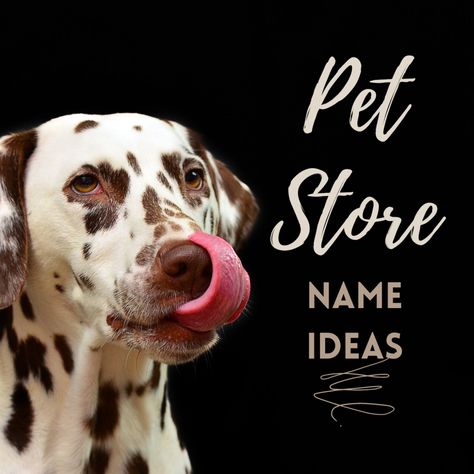 Pet Shop Names Ideas, Names For Pets, Store Names Ideas, Shop Name Ideas, Online Pet Store, Dog Store, Name Ideas, Unusual Animals, Cute Names