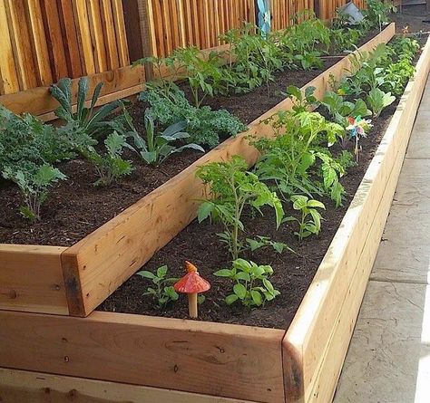 Vertical Herb Garden Wall Patio, 3 Tier Garden Bed, Small Backyard Garden Vegetable, Container Herb Garden, Landscaping Projects, Raised Vegetable Gardens, Small Vegetable Gardens, Garden Layout Vegetable, Herb Garden Design