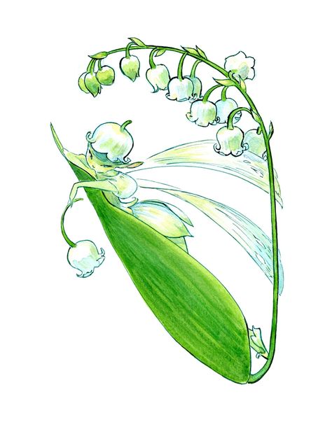 A lovely Lily of the Valley fairy, drawn for my annual Instagram art challenge, #MarchOfTheFairies - and finally finished to join us here on Etsy in my Springtime Fairies collection. As with all of my Fairy print collection, you can choose a white background or a tan parchment-style background, as shown in the images. The original artwork was drawn with pencil and painted by hand. It is reproduced on Epson Velvet Fine Art Paper, which means exquisite detail and a museum-quality print that will l Lily Of The Valley Fairy, Fairy Garden Art, Male Fairy, Fairy Drawings, Arm Art, Flat Photo, Instagram Challenge, Bunny Drawing, Garden Drawing