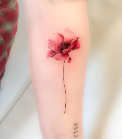 Womens tattoo, color, floral, linework, delicate, realism, fineart, forearm. Colourful Flowers Tattoo, Poppy Tattoo Collar Bone, Women Tattoos Color, Tulips Tattoos For Women, Coloured Tattoo Ideas, Color Poppy Tattoo, Delicate Poppy Tattoo, Flower Tattoos Colorful, Tattoo Hoa Mini