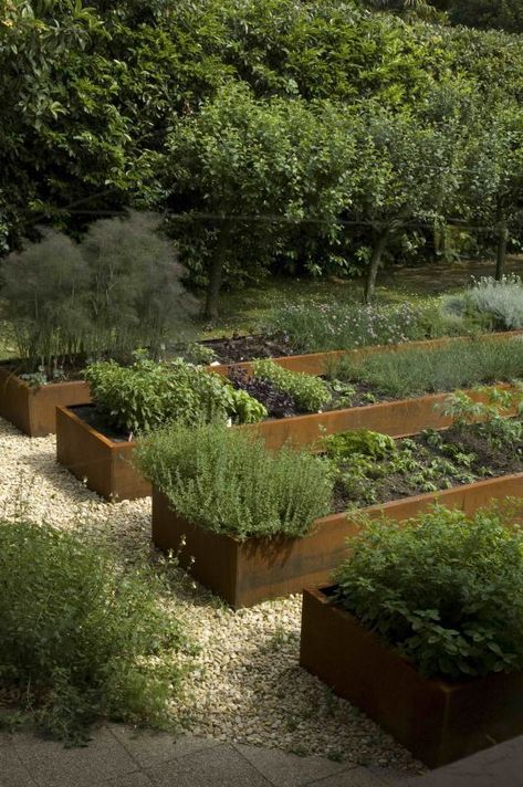 Orchard Garden, Raised Vegetable Gardens, Vegetable Garden Raised Beds, Potager Garden, Garden Vines, Veg Garden, Have Inspiration, Vegetable Garden Design, Veggie Garden