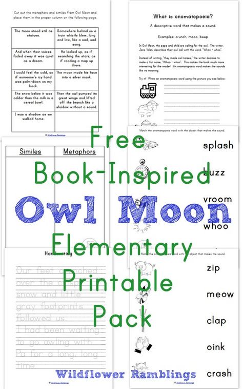 Owl Moon Elementary Owl Moon Activities, Book Owl, Elementary Printables, Moon Activities, Early Childhood Literacy, Beautiful Text, Owl Moon, 4th Grade Ela, Moon Book