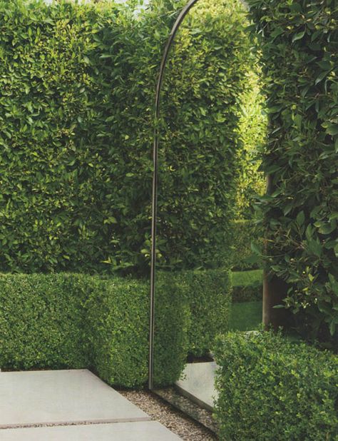 Garden Mirror Illusion Expands the Lush, Green of Amster Yard (And Yours) - Improvised Life Garden Mirror, Garden Mirrors, Outdoor Mirror, Walled Garden, Home Landscaping, Small Space Gardening, Gorgeous Gardens, Back Garden, Small Gardens