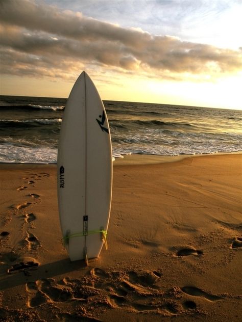 . Sunset Surfing, Surf Vibes, Surfing Pictures, Sand Surfing, Learn To Surf, Surf Life, Your Picture, Surfs Up, Surfer Girl