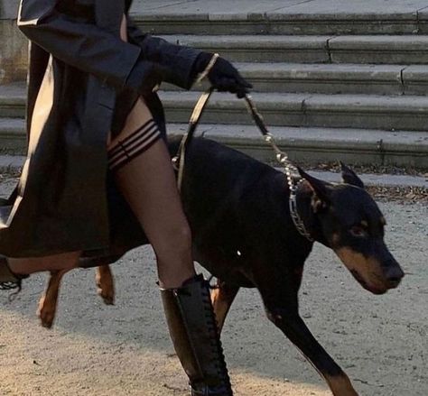 Doberman, Wearing Black, A Woman, High Heels, Walking, Heels, Instagram, Black