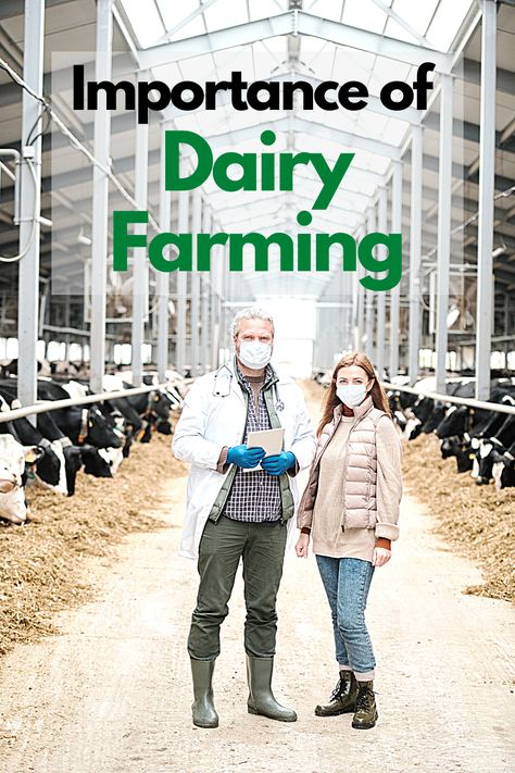 Dairy farming is a industry that affects millions of people and which the majority of the world relies on upon in some way. Dairy Business, Farming Tools, Dairy Farming, Dairy Industry, Milk Production, Dairy Farm, Homemade Yogurt, Poultry Farm, Dairy Cows