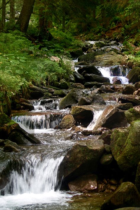 Mossy woodland stream (free stock photo for your nature & hiking blog, website or print media). Stream Landscaping, Woodland Stream, Stream Landscape, Fanfiction Ideas, Church Painting, Landscape Reference, Biblical Paintings, Poster Project, Mountain Lakes