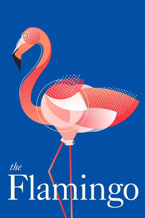 Flamingo Graphic Design, Flamingo Illustration Graphics, Flamingos Art Illustration, Flamingo Logo, Flamingo Graphic, Flamingo Illustration, Flamingo Design, Illustrator Design Tutorial, Abstract Wallpaper Design