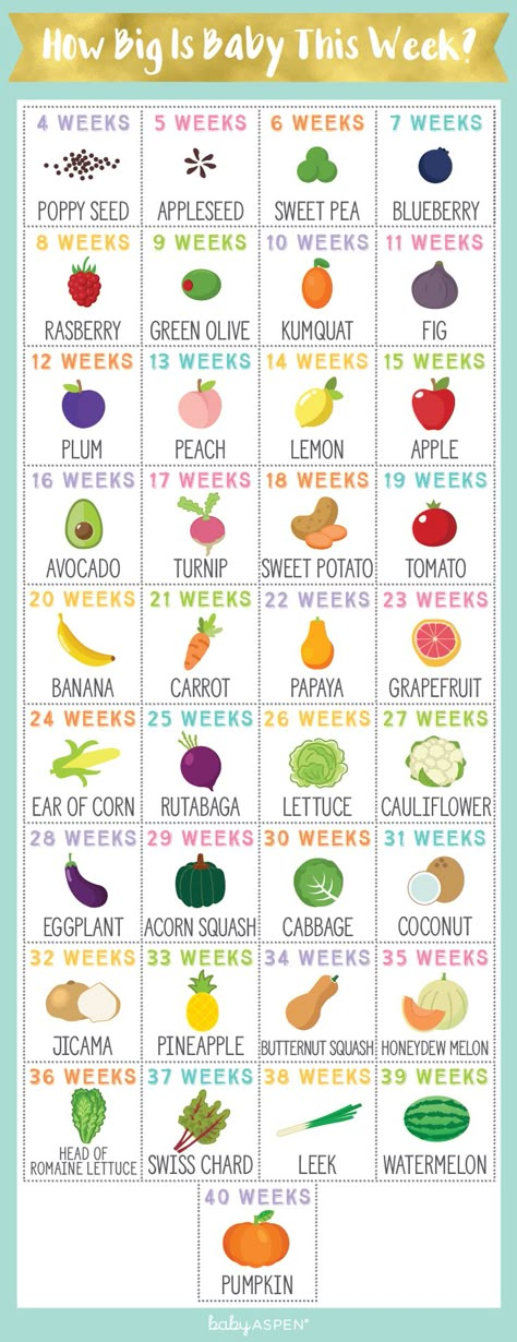 It can be hard to visualize how tiny your baby is during pregnancy. So we put together an infographic that breaks down your baby’s size by week – using fruits and vegetables as a point of reference! | How Big is Baby This Week? [Infographic] | Baby Aspen 5 Weeks Pregnant, Baby Weeks, Baby Sleep Problems, Apple Seeds, After Baby, Pregnant Mom, How Big Is Baby, First Time Moms, Healthy Pregnancy