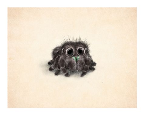 Spider Illustration, Spider Drawing, Creepy Animals, Spider Art, Cute Animal Illustration, Jumping Spider, Animal Illustrations, Dibujos Cute, Dessin Adorable