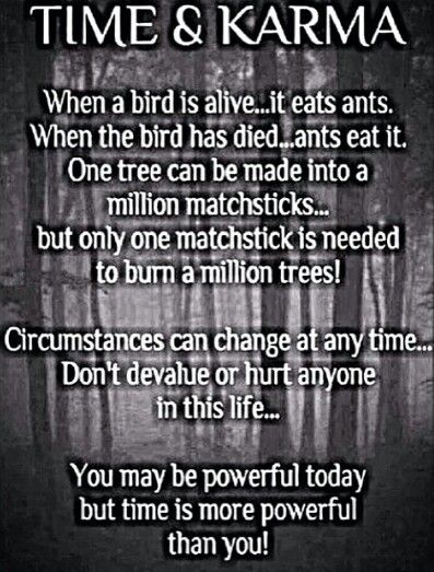 Well ain't that the truth God Knows The Truth, The Awful Truth, I Know The Truth, Narcissism Quotes, Doing Me Quotes, Healthy Mindset, Knowledge And Wisdom, Know The Truth, Narcissism