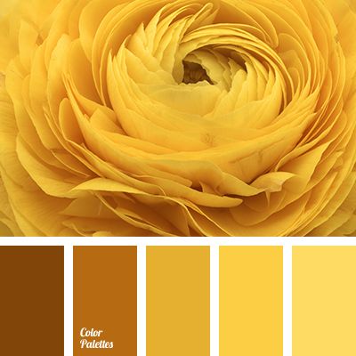 monochrome yellow color palette | Color ... Yellow Shades Colour Palettes, Flat Bedroom, In Color Balance, Shades Of Yellow Color, Yellow Color Combinations, Yellow Color Palette, Yellow Palette, Monochrome Color Palette, Orange Color Schemes