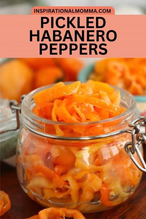 Anyone who knows me knows I love a little sweet with my heat, which is why I love making these pickled habanero peppers. They pack a punch of habanero heat in every bite, but the added sugar and the pickling process tone them down just a bit. If you love a nice, hot addition to your meals, then these pickled habaneros are for you. They have the classic heat and flavor of habanero peppers along with a slightly sweet tang thanks to the sugar I use in the pickling blend I pickle the peppers in. Roasted Habanero Peppers, Pickled Habenaros, How To Use Habanero Peppers, Habernos Recipes, Canning Habanero Peppers, Pickled Habanero Peppers Recipe, Jalapeno Ideas, Pickled Habanero Peppers, Zesty Pickles