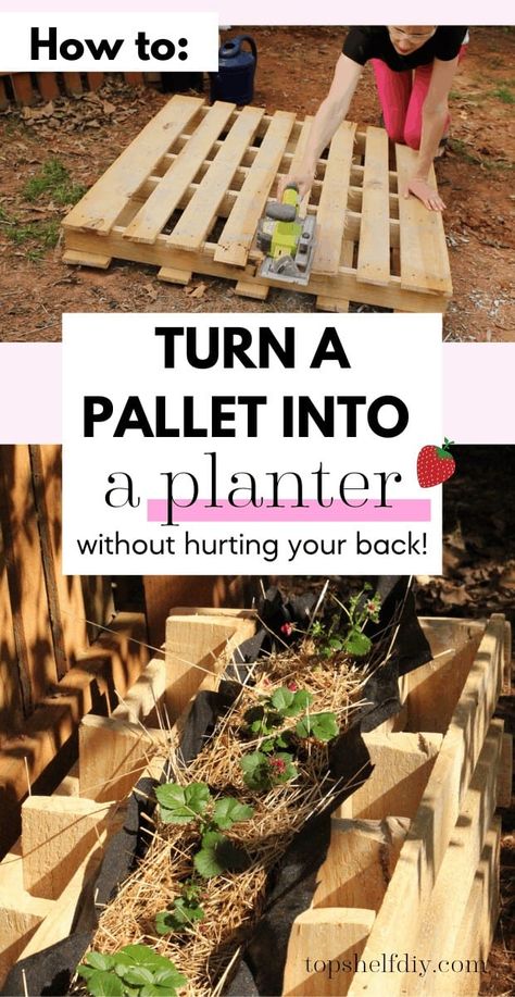 Pallet Flower Boxes, Pallet Planter Boxes Diy, Pallet Flower Box, Pallet Planter Diy, Building Planter Boxes, Plant Strawberries, Pallet Planter Box, Wood Pallet Planters, Outdoor Pallet Projects