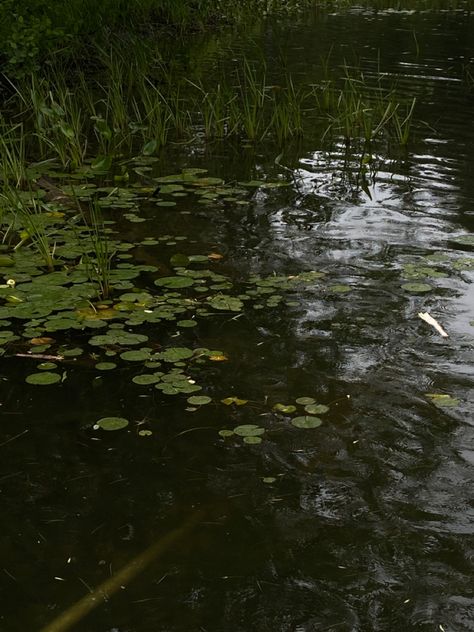 Rain Garden Aesthetic, Water Lake Aesthetic, Rainy Castle Aesthetic, Water Stream Aesthetic, Water Core Aesthetics, Lake Water Aesthetic, Rowancore Aesthetic, Freshwater Aesthetic, Green Lake Aesthetic