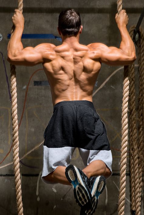 How beginners can build a massive back - Guide discusses the back, its function, and exercises. Try these 5 great back workout programs for size. Body Builder Back Muscles, Man Back Muscles, Muscular Back Male, Men Back Reference, Back Physique, Back Workout Program, Back Workout For Mass, Workout Pose, Big Back Workout