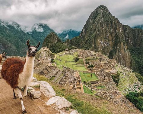 Humanity Aesthetic, Peru Aesthetic, Blonde Abroad, Inca Trail Hike, Huayna Picchu, Inca Trail, Inca Trails, Sacred Valley, Peru Travel