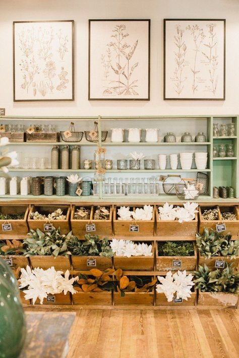 Botanical Store Design, Apothecary Shop Interior, Flower Shop Shelving, Opening A General Store, Florist Storage Ideas, Flower Shop Storage, Store Interiors Ideas, Magnolia Store Display, Herbal Shop Interior