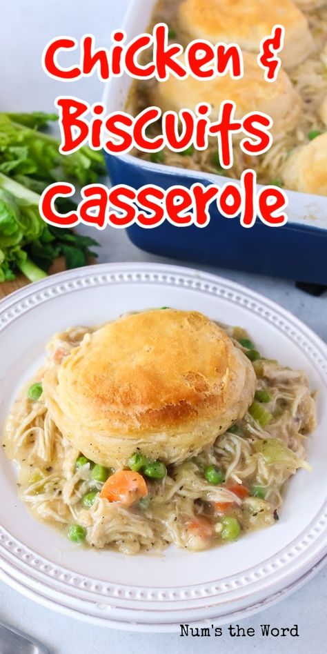 Casseroles Using Canned Biscuits, Chicken And A Biscuit, Canned Chicken And Biscuit Recipes, Frozen Biscuit Casserole, Chicken And Biscuits Recipe Homemade, Recipes Using Canned Biscuits Dinner, Easy Chicken And Biscuits Recipe, Chicken And Biscuits Easy, Chicken And Busicuts Recipe