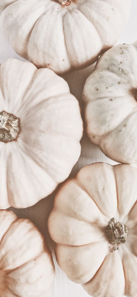 Autumn Aesthetic Neutral, Fall White Wallpaper, Neutral Fall Widget Pictures, Fall Asthetic Backround Phone, Neutral Fall Pictures, Beige Phone Wallpaper Aesthetic, Cream Autumn Aesthetic, Fall Neutral Aesthetic Wallpaper, Neutral Halloween Phone Wallpaper