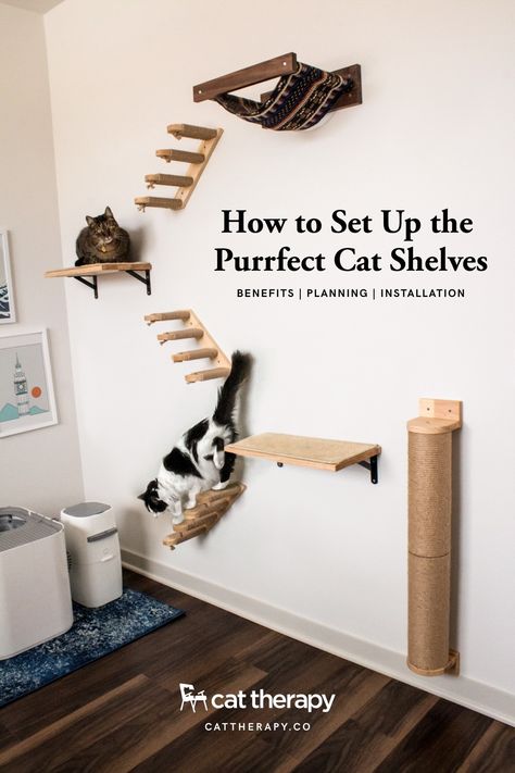 Cute Cat Climbing Wall, Cat Wall Toys, Cat Wall Small Space, Indoor Cat Shelves, Home Decor For Cats, Cat Obstacle Course On Wall, Cat Wall In Bedroom, Cat Furniture Wall Shelves, Cat Shelf Wall Ideas