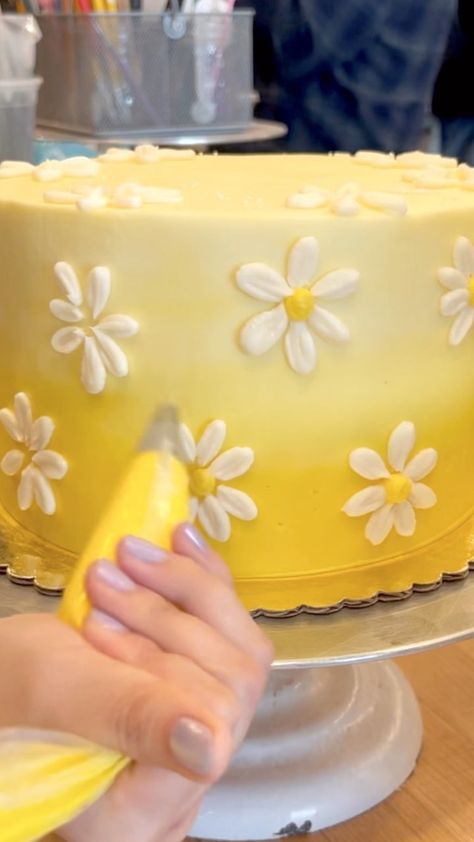 m i a ⭐️ s t a r r on Instagram: “How to pipe daisies! Another quick tutorial! I used a #104 petal tip and #10 round tip to pipe these flowers 💐 #howto #cakedecorating…” Buttercream Daisy Tutorial, Piping Daisy Flowers, Easy Piped Flowers On Cake, How To Pipe Flowers On Cake, Daisy Flower Cake, Piping Cake, Round Birthday Cakes, Daisy Cupcakes, Daisy Decorations