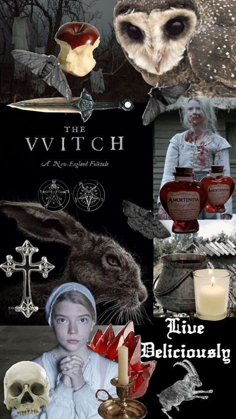 #witch #thewitch #movie #gothic #witchcraft #dark #wallpaper #collage Witch Moodboard, Witch Collage, The Vvitch, Wallpaper Collage, Witch Academia, Witch Aesthetic, Cozy Autumn, Folk Tales, The Witch