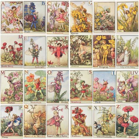 Flower Fairy Alphabet Postcards Cicely Mary Barker - Fairies - Choose From List | eBay Flower Fairy Alphabet, Fairy Alphabet, Charley Harper Birds, Flower Fairies Books, Fairy Illustration, Cicely Mary Barker, Wedding Place Settings, Fairy Book, Gift Toppers