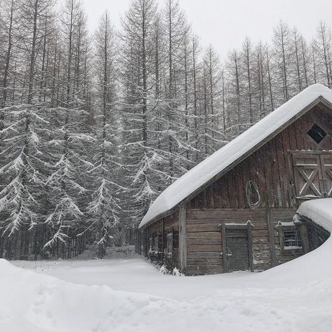 Cottage In Snow Aesthetic, Winter Aesthetic Cabin, Snowy Lodge Aesthetic, Winter Wood Aesthetic, Snowy Cottage Aesthetic, Snow Cottage Aesthetic, Snowy Cabin In The Woods Aesthetic, Rock Paper Scissors Alice Feeney Aesthetic, Medieval Snow Aesthetic