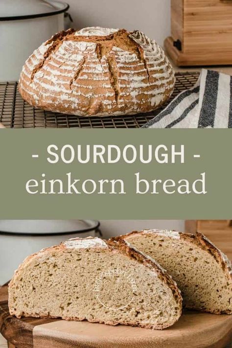 Einkorn Sourdough Bread Recipe, Jovial Einkorn Bread Recipes, Sourdough Einkorn Bread, Einkorn Sourdough Recipes, Sourdough Patterns, Einkorn Sourdough Bread, Sourdough Einkorn, Einkorn Sourdough, Sourdough Starters