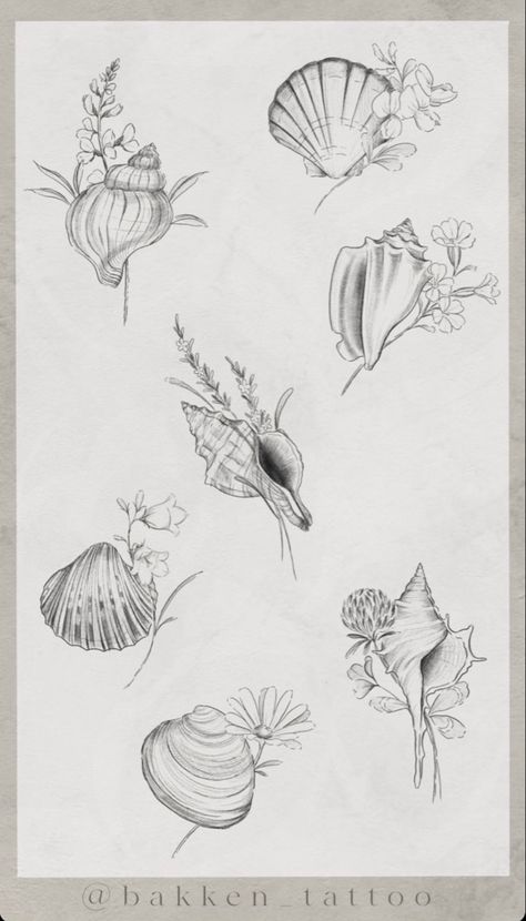 Butterfly Shell Tattoo, Conch Seashell Tattoo, Conch Shell Tattoo Small, Back Tattoo Women Ocean, Beach Arm Tattoo, Shell And Flowers Tattoo, Shells And Flowers Tattoo, Beach Tattoo Back, Seashell Fine Line Tattoo