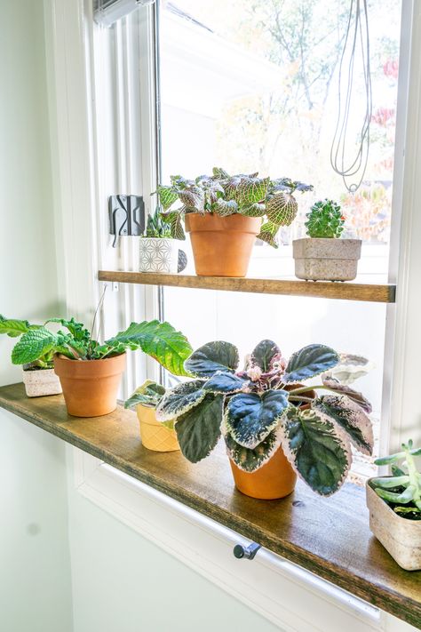 Hanging Window Plant Shelf Diy, Diy Window Ledge Plant Shelf, Window Ledge Plant Shelf, Window Sill Shelf For Plants, Indoor Window Plant Shelf, Plant Shelf Under Window, Diy Window Sill Plant Shelf, Diy Window Plant Shelf, Window Sill Plant Shelf