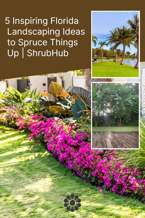 Are you looking to elevate the curb appeal in Florida? Look no further! In this article, we will explore five enchanting Florida landscaping ideas. Front Yard Landscaping In Florida, Small Front Yard Landscaping Florida, North Florida Landscaping Ideas Front Yards, Simple Florida Landscaping, Zone 9 Landscaping Florida, North Florida Landscaping Ideas, Central Florida Landscaping Ideas, Florida Backyard Landscaping, Florida Backyard Ideas