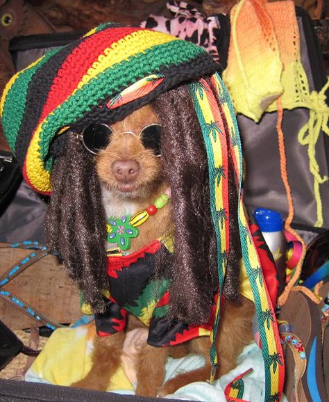 Rasta wedding