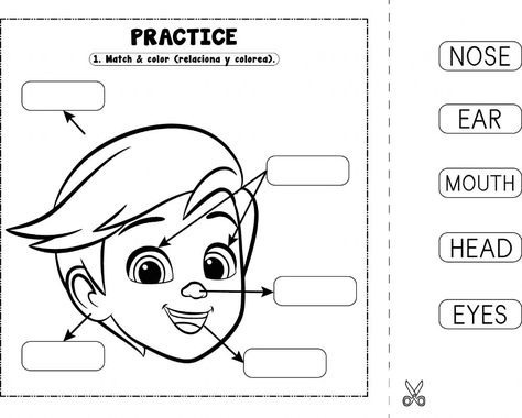 Face Parts Activities, Parts Of The Body Worksheet Kindergarten, My Face Worksheet For Kids, Face Activities For Kids, Parts Of The Face Activities For Kids, Parts Of The Body Worksheets Preschool, My Face Activities For Preschool, Body Parts Worksheet Kindergarten, Face Parts Worksheet