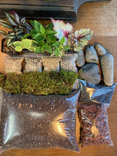 Terrarium Kit Gift, Terrarium Scene, Terrariums Diy, Build A Terrarium, Fenced Vegetable Garden, Diy Terrarium Kit, Bamboo Diy, Terrarium Kit, Diy Succulent Terrarium