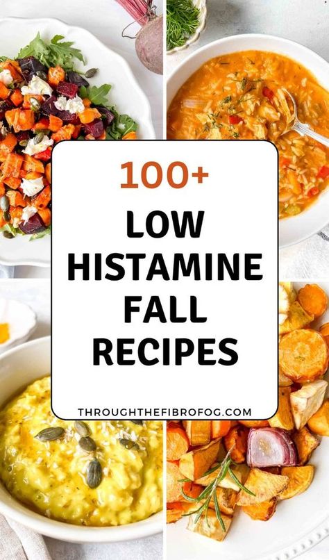 Choose from over 100 low histamine fall recipes using delicious produce that's so tasty! We have soups, chicken recipes, salads, breakfast ideas and so much more. Low Histamine Chili Recipes, Organic Non Gmo Recipes, Low Histamine Lasagna, Low Histamine Chili, Vegetarian Low Histamine Recipes, Low Histamine Sweet Potato Recipes, Low Histamine Snacks Gluten Free, Low Histamine Thanksgiving Recipes, Low Histamine Slow Cooker Recipes